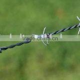 Barbed Wire thumbnail-1