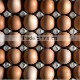 30 Eco-friendly Paper Pulp Egg Tray thumbnail-1