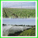 Large Size and Multi-Span Agricultural Greenhouses Type Green House Anti Insect Netting thumbnail-6