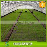 Ali Golden Trade Agriculture Nonwoven Waterproof Ground Cover thumbnail-2