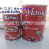 Factory Sell Metal Tin 210g Canned ST-RITA Tomato Paste to Africa Market Looking for Distributors in Africa thumbnail-6