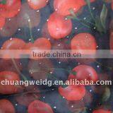 Beautiful Printed Chiffon Fabric thumbnail-1