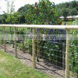 Wire Fencing / Hinge Joint Fence / Field Fence