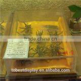 Custom Acrylic Box,clear Acrylic Box,square Acrylic Box for Chinese Herbal Medicine