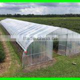 Export to USA Tunnel Greenhouse