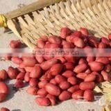 Red Skin Peanut Kernels With Good Quality for Sale thumbnail-2