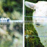 Cattle fence grassland fence wire mesh