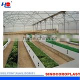 PP 4mm Corrugated Plastic Roofing