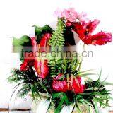 Temepred Glass Pan Lids for Cookware thumbnail-5