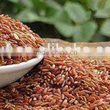 Chinese red rice with good quality