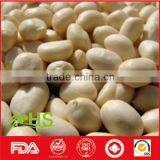 Blanched Peanut Kernels With Long/round Type thumbnail-2