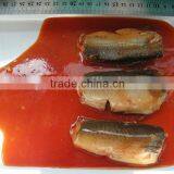 Canned Sardine Mackerel Tuna Fish in Tomato Sauce