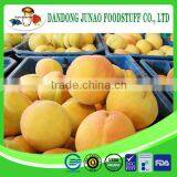 Bulk Supply Canned Yellow Peach Diced