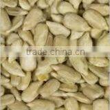 5009 sunflower seeds reasonable prices dried sunflower seeds