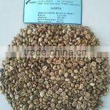VIETNAMESE SUPPLIER OF UNWASHED ROBUSTA COFFEE BEANS SCREEN 18, 16 thumbnail-2