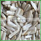 Sale Roasted and Salted White Striped Sunflower Seeds In Bulk thumbnail-2