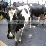 Rubber Stable Mat Cow Mat Horse Mat thumbnail-4