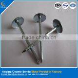 Umbrella Head Roofing Nails Galvanized Surface Treatment for Construction Application thumbnail-2