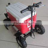 Best Quality Gas Cooler Scooter 43CC SX-G110 From China thumbnail-4