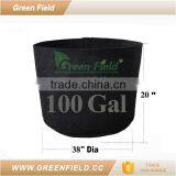 Wholesale Garden Plant Pot,100 Gallon Felt Smart Plant Pot thumbnail-1