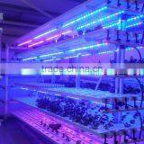 Hot Seller 20w Cheap Indoor Led Grow Lights That Work thumbnail-6