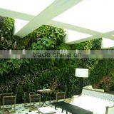 Jungle Forest Vertical Plant Green Wall Indoor Customized Framed Grass Wall thumbnail-2