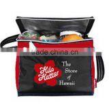 Disposable Cooler Bag for Drinks thumbnail-1