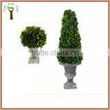 Natural Preserved Boxwood Cone Topiary Producer thumbnail-4