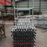 Cplock Scaffolding System and Drop Forged Cup Lock Standard thumbnail-4