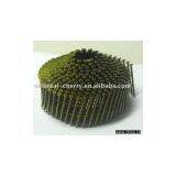 Coil Nail thumbnail-1