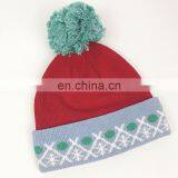 Acrylic Custom Logo Beanie With Logo Embroidery Winter Hats thumbnail-5