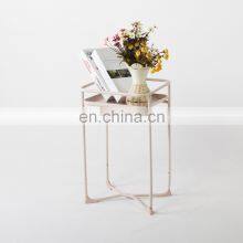 Multifunctional Flower Shelf Stands Iron Creative Double Flower Shelf thumbnail-5
