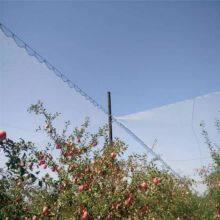 Anti Bird Net for Rice Field thumbnail-4