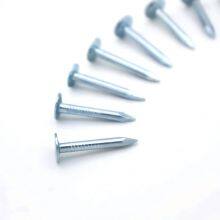 Galvanized Felt Nails With Mill Test Report for Quality Assurance thumbnail-2