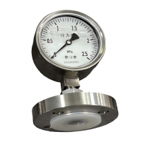 Diaphragm Pressure Gauge Industrial SS316 PTFE Flange 100mm Diaphragm Seal Corrosion Proof Pressure Gauge thumbnail-1