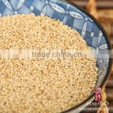 TASSYA China Origin Roasted White Sesame Seed
