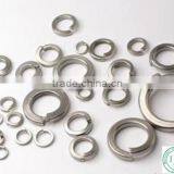 Stainless Steel Wall Washer