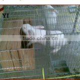 Galvanized Metal Cage With Rabbit Water Feeder For Mother Rabbit thumbnail-1