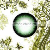 Pastel and Vignette Design Color Contact Lens WEBW003/green Plano Circle Contact Lens/wonderful and Perfect/cheap and Fine thumbnail-1