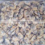 Export Frozen Fresh Clam Meat