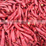 Red Dried Chili thumbnail-4