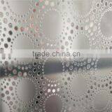 4mm 5mm 6mm 8mm 10mm 12mm China Decorative Acid Etched Glass