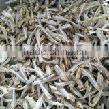 EXPORT DRIED ANCHOVY FISH HEADLESS (Email: Katherine.vilaconic@gmail.com thumbnail-3
