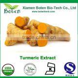 Manufacturer Supply All Kinds Pure Curcumin Extract With Kosher Certified 95% thumbnail-1