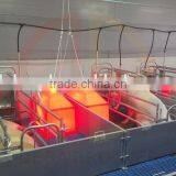 Pig Farrowing Crate for Sale thumbnail-4