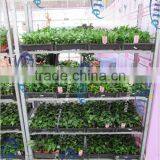 346 Cultivate Tray Cart thumbnail-1