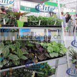197 Display Flower Trolley 2014 Display Flower Trolley Garden Tool Cart thumbnail-5