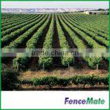 Hot Sale Vineyard Trellis thumbnail-3