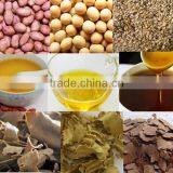 Watermelon Seed Oil Press Machine Screw Oil Press Machine thumbnail-6