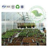 Eco-friendly Transparent PVC Tunnel Greenhouse/Flower House/ Warm House For Agriculture thumbnail-1